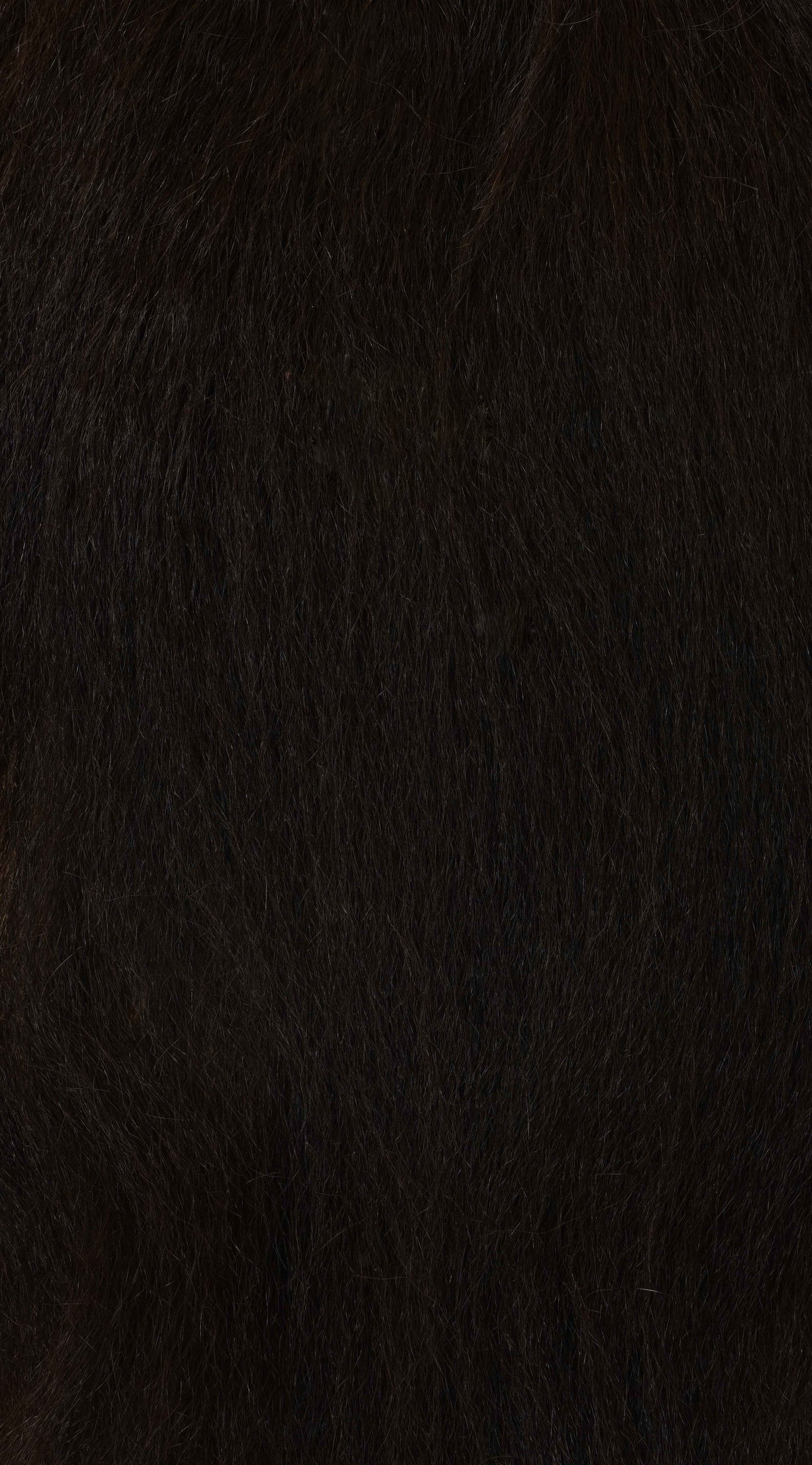 Kinky Straight Clip-ins